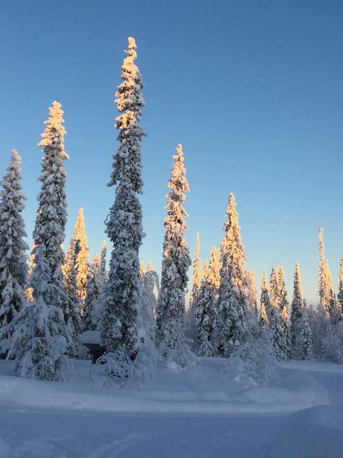 Villa Karhuntaehti Luosto Esterno foto